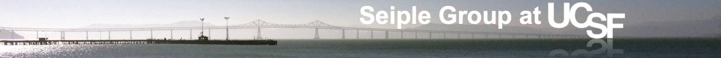 cropped-ucsf-seiple-header-b-1.png